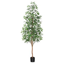 Artificial Tree - Ficus - Small Leaves 210 cm