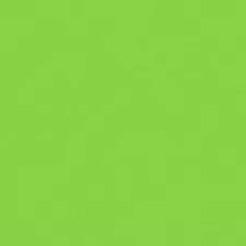 Rosco - 121 Leaf Green