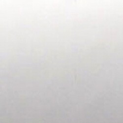 LEE - 269 Heat Shield