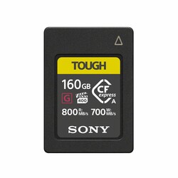 Memory Card CFexpress TYPE B - 256 GB (1750MB/s)